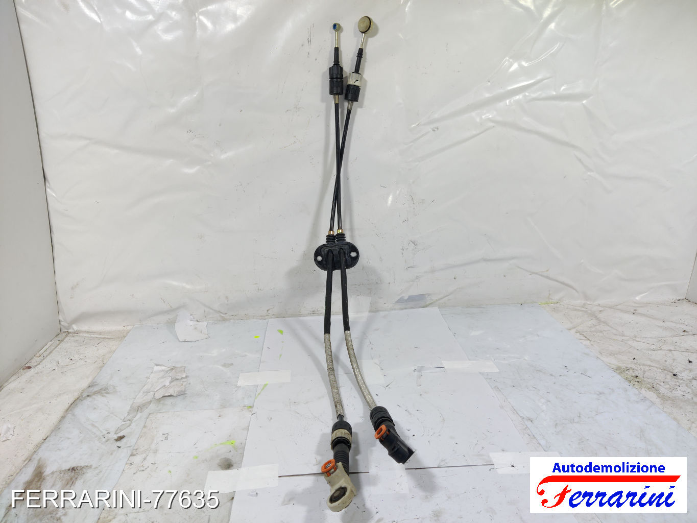 Funi Corde Cambio FORD FOCUS SW DNW 1.8 TURBO DI/TDDI 1999-2004 XS4R7E395HC