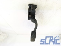 Pedale Acceleratore FIAT GRANDE PUNTO 199 1.3 D MULTIJET 2005-2013 55702020