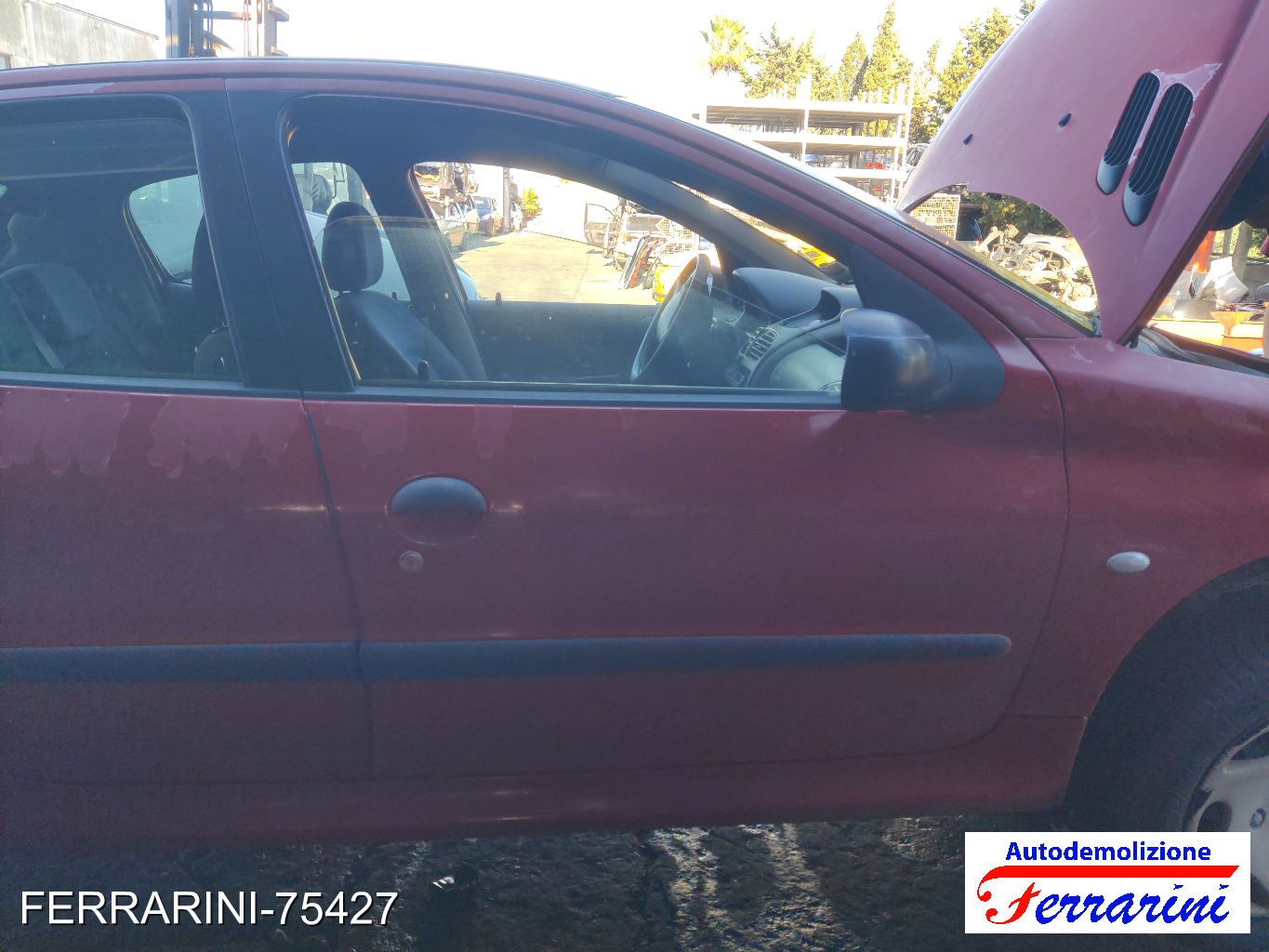 Sportello Portiera Frontale Destra