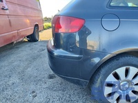 Audi A3 Sportback 8PA 1.9 TDI 105CV 2004-2010