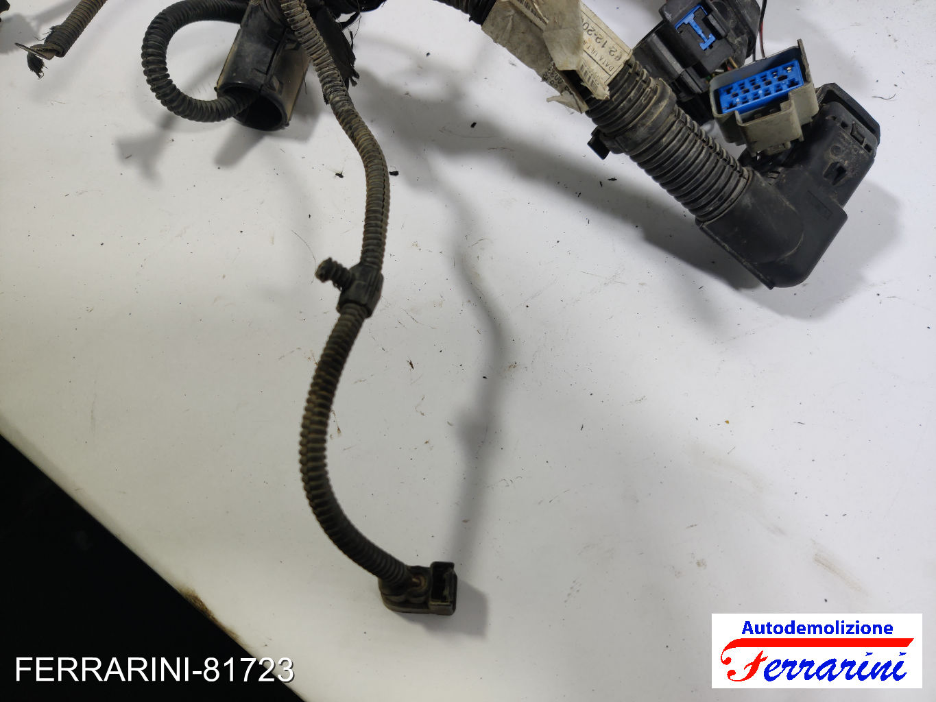 Cablaggio Motore LANCIA YPSILON 843 1.2 2003-2011 14