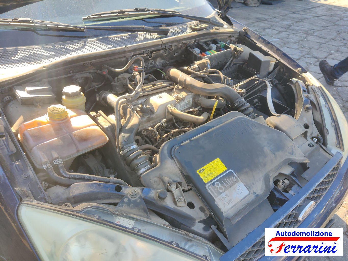 Ford Focus DAW, DBW 1.8 TDCI 115CV 2001-2004