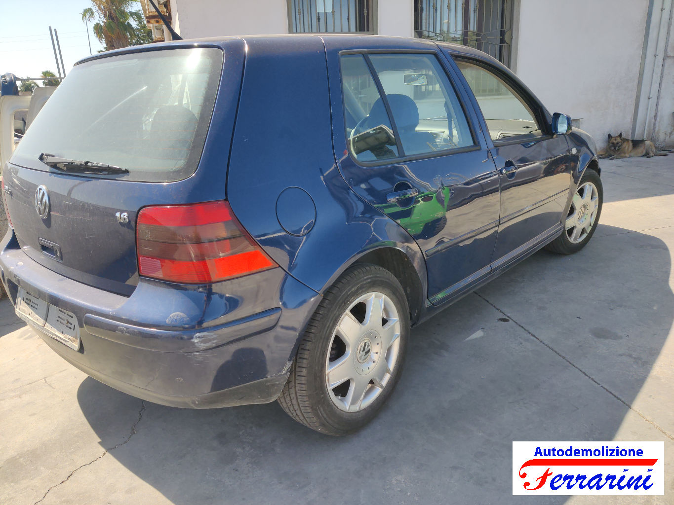 Vw Golf 4 1J1 1.6 100CV 1997-2004