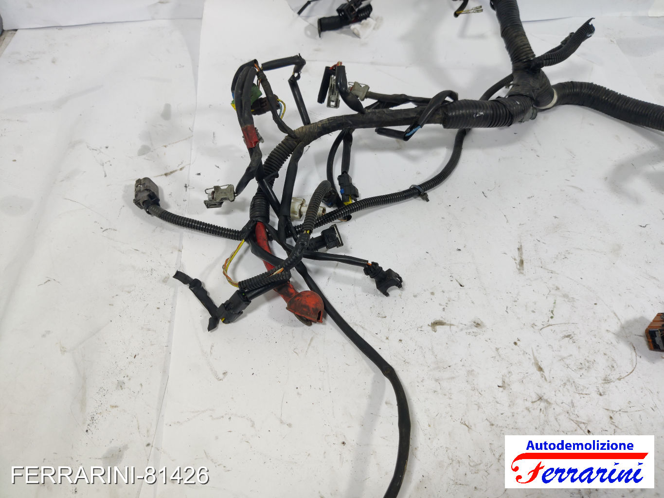 Cablaggio Motore 7