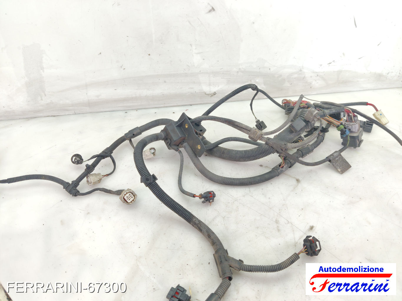 W10B16A Cablaggio Motore MINI - R50, R53 ONE 2001-2006 12517533100, 2861067810