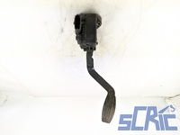 Pedale Acceleratore FIAT GRANDE PUNTO 199 1.3 D MULTIJET 2005-2013 46829061