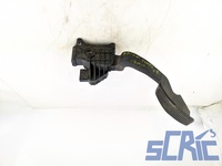 Pedale Acceleratore FIAT GRANDE PUNTO 199 1.3 D MULTIJET 2005-2013 55702020