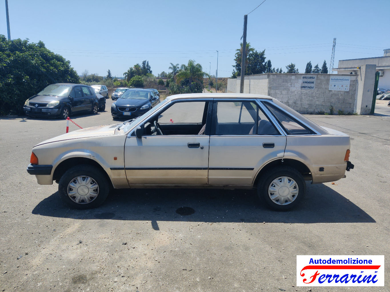 Ford Escort 3 GAA 1.3 69CV 1980-1985