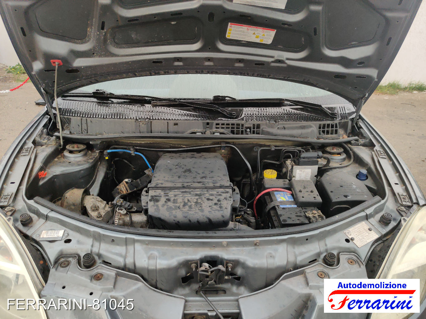 Lancia Ypsilon 44