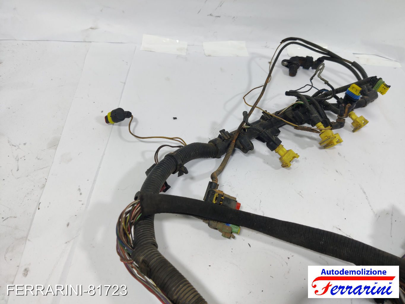 Cablaggio Motore LANCIA YPSILON 843 1.2 2003-2011 7