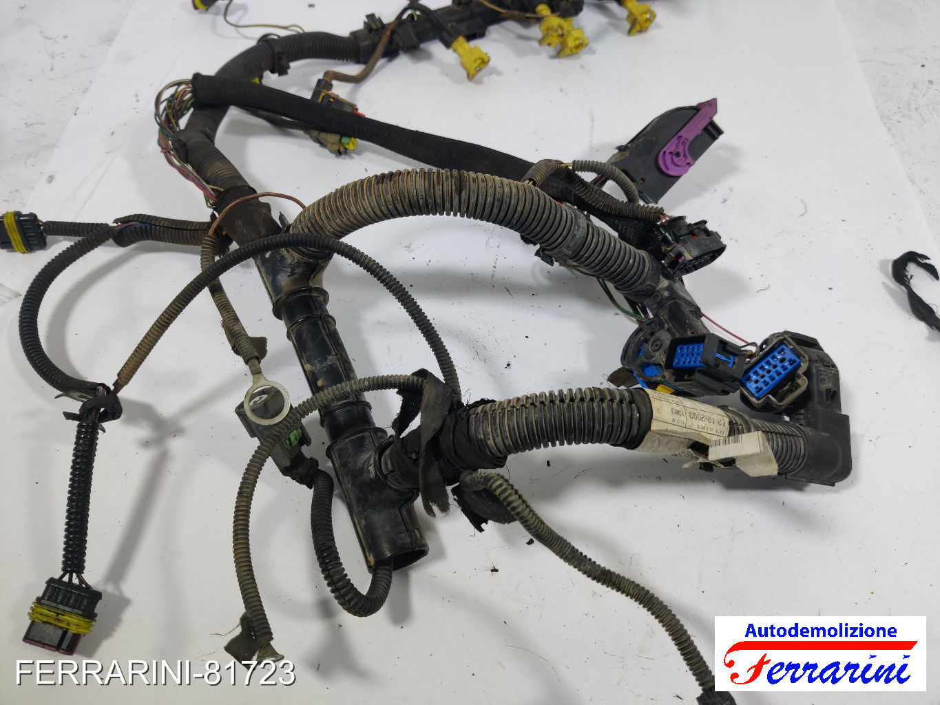 Cablaggio Motore LANCIA YPSILON 843 1.2 2003-2011 16