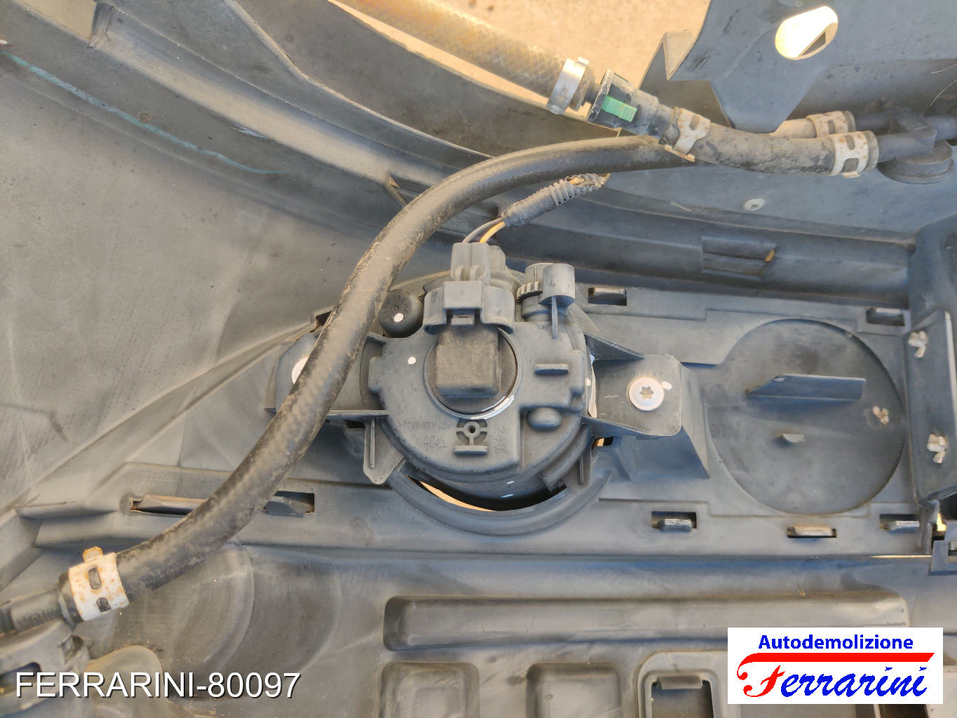 Paraurti RENAULT SCENIC 2 JM0/1 2003-2006 Frontale 7701474769, 31056M 11