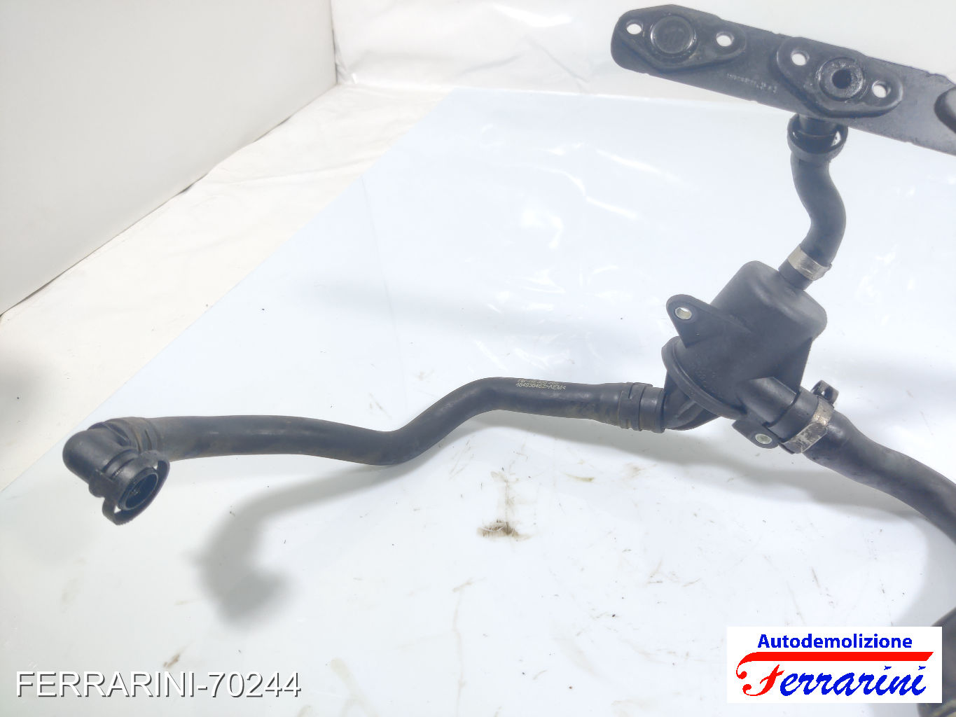 Pompa Acqua Motore Ausiliaria LANCIA YPSILON 843 1.3 JTD 2003-2011 55185372