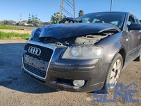 Audi A3 Sportback 8PA 1.9 TDI 105CV 2004-2010