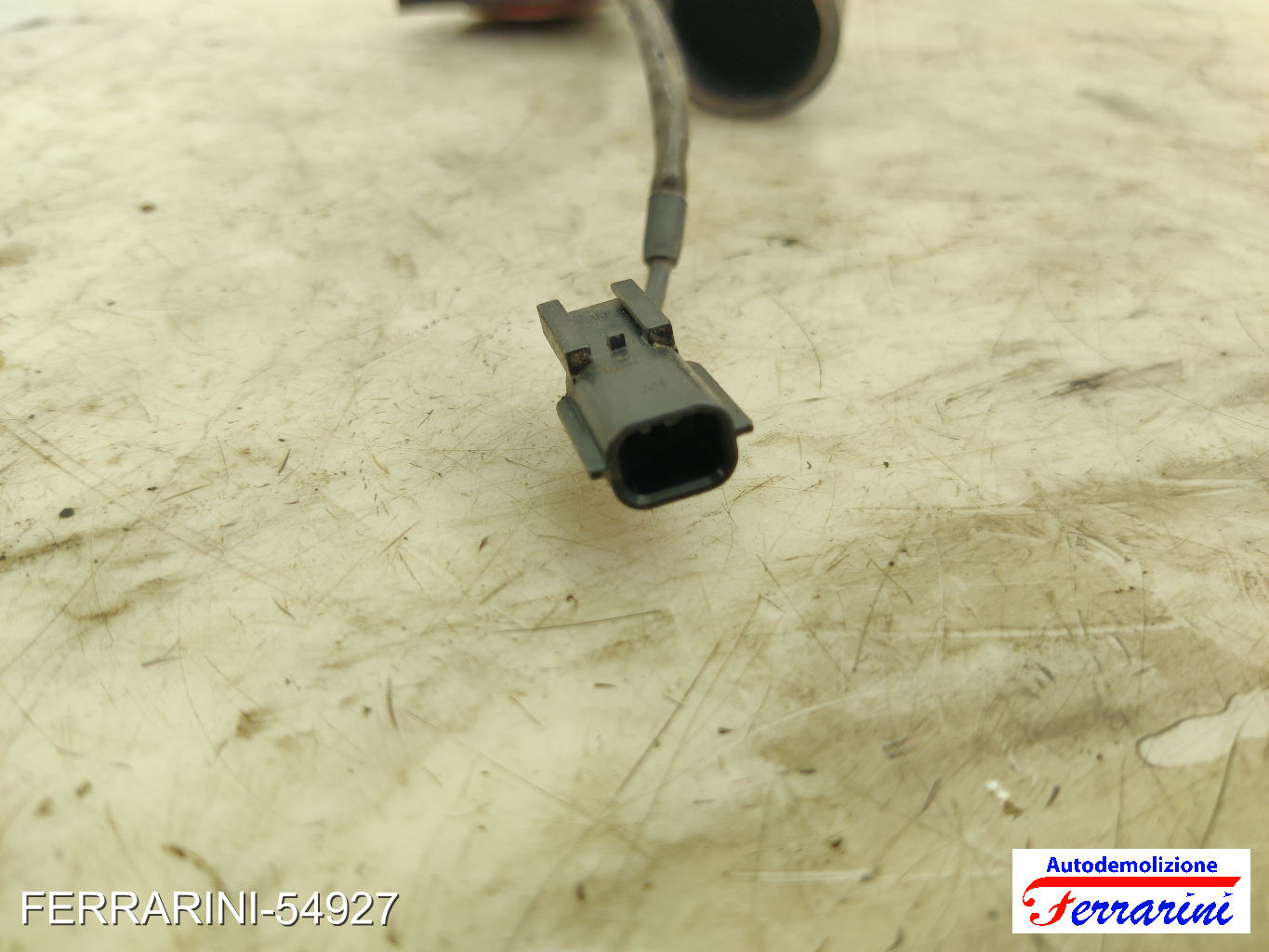 Altre Componenti Accessori Motore