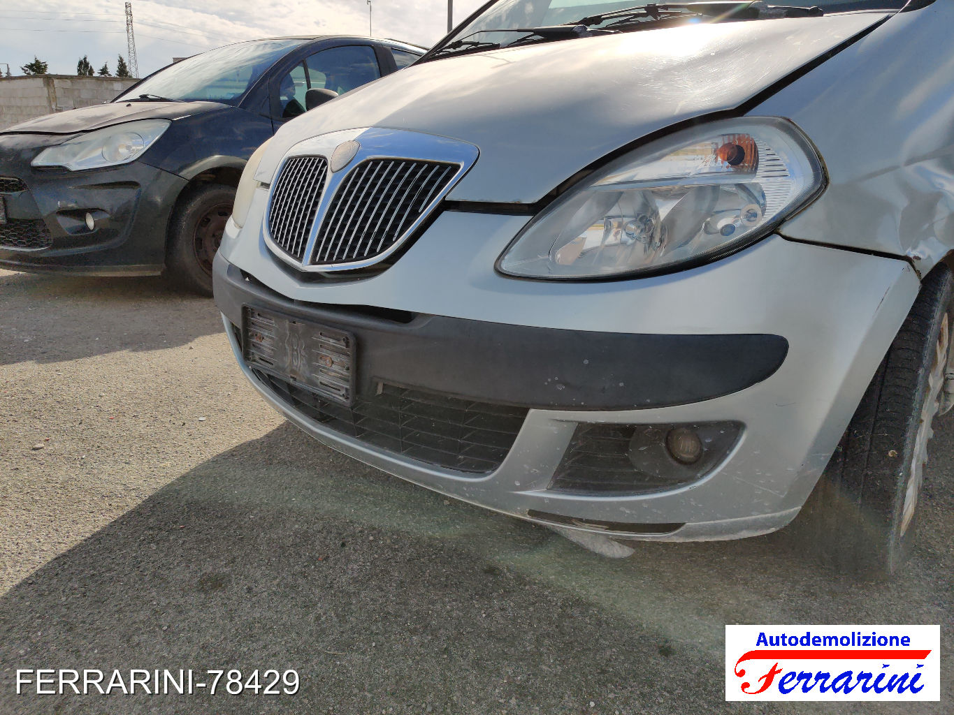 Paraurti Frontale