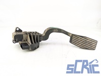 Pedale Acceleratore FIAT PUNTO EVO 199 1.4 LPG 2009-2012 55702020, 03207A