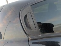 Alfa Romeo 147 937 1.9 JTDM 16V 150CV 2004-2010