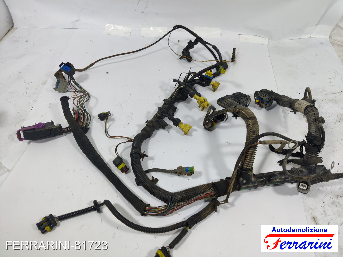 Cablaggio Motore LANCIA YPSILON 843 1.2 2003-2011