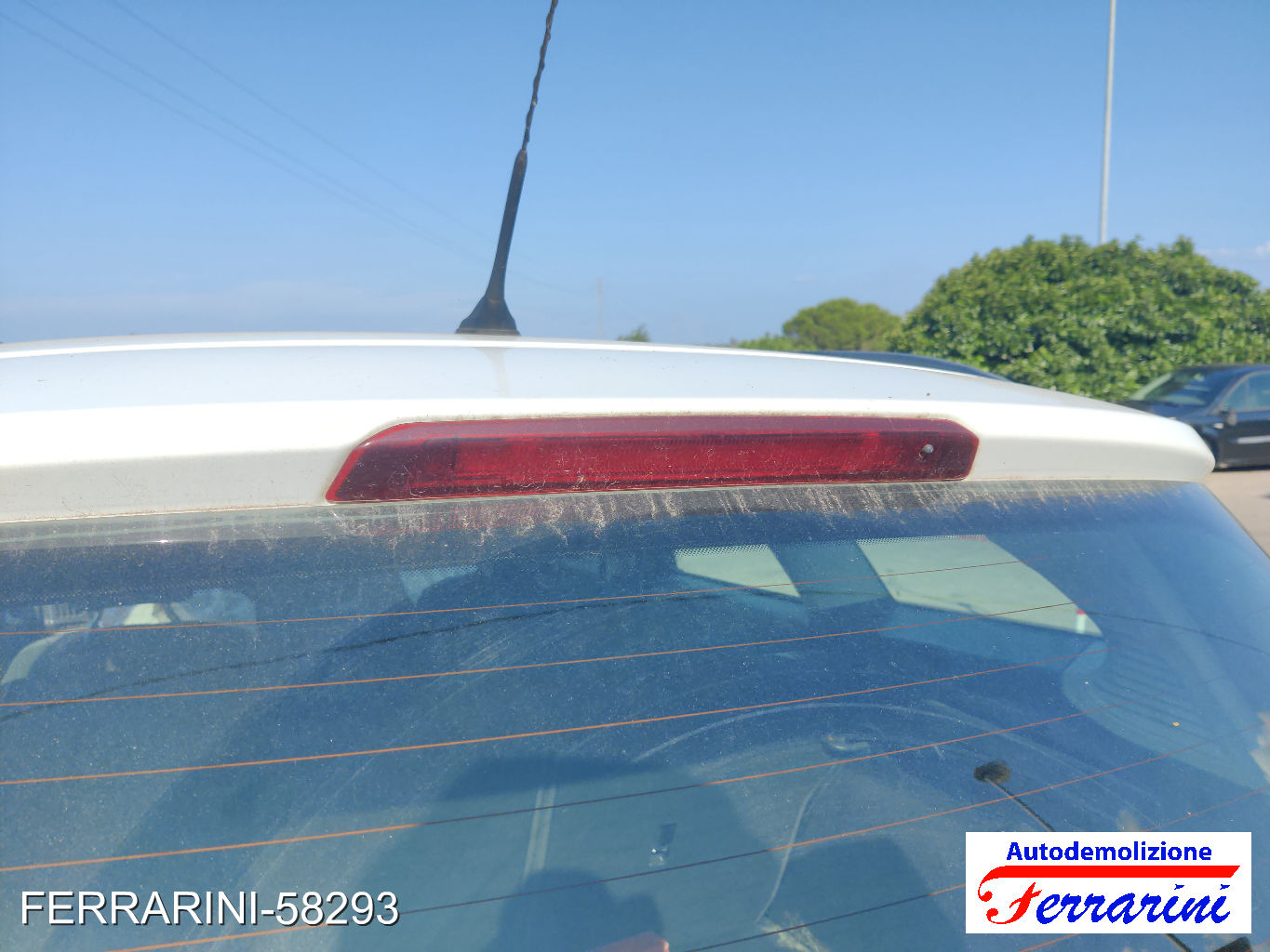 Ford Focus 3 Turnier 1.6 TDCI 95CV 2010-2023