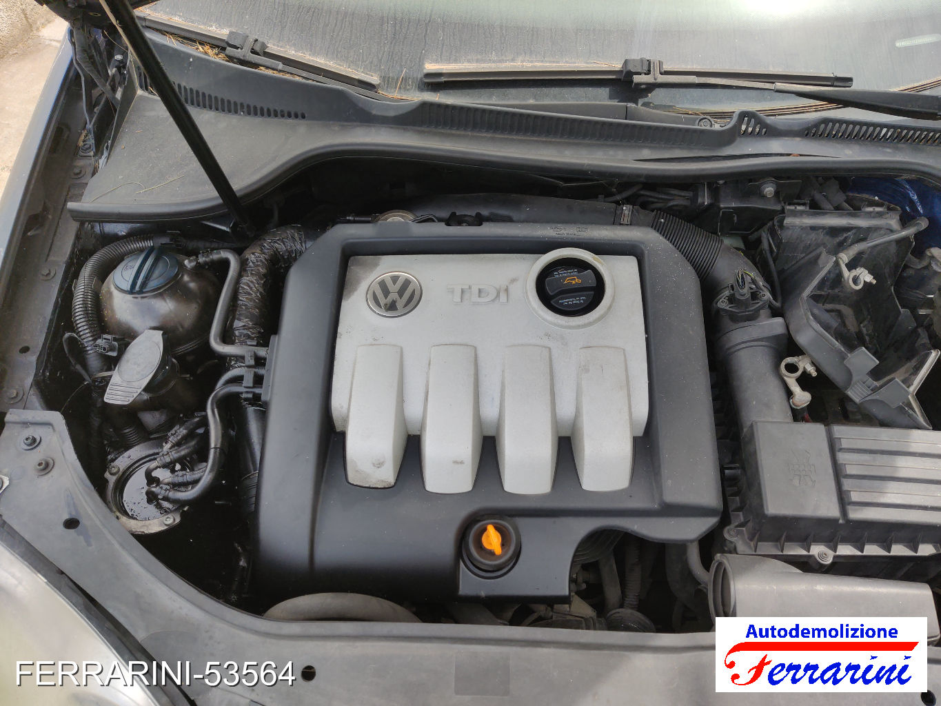 Vw Golf 5 1K1 1.9 TDI 105CV 2003-2008
