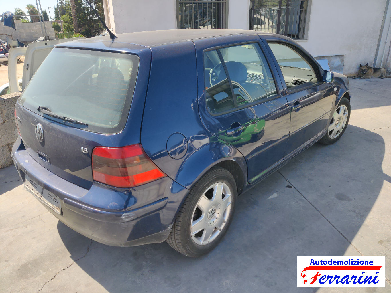 Vw Golf 4 1J1 1.6 100CV 1997-2004