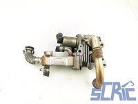 Valvola Egr RENAULT MEGANE 2 BM0/1, CM0/1 1.9 DCI 2002-2008 H7700107471