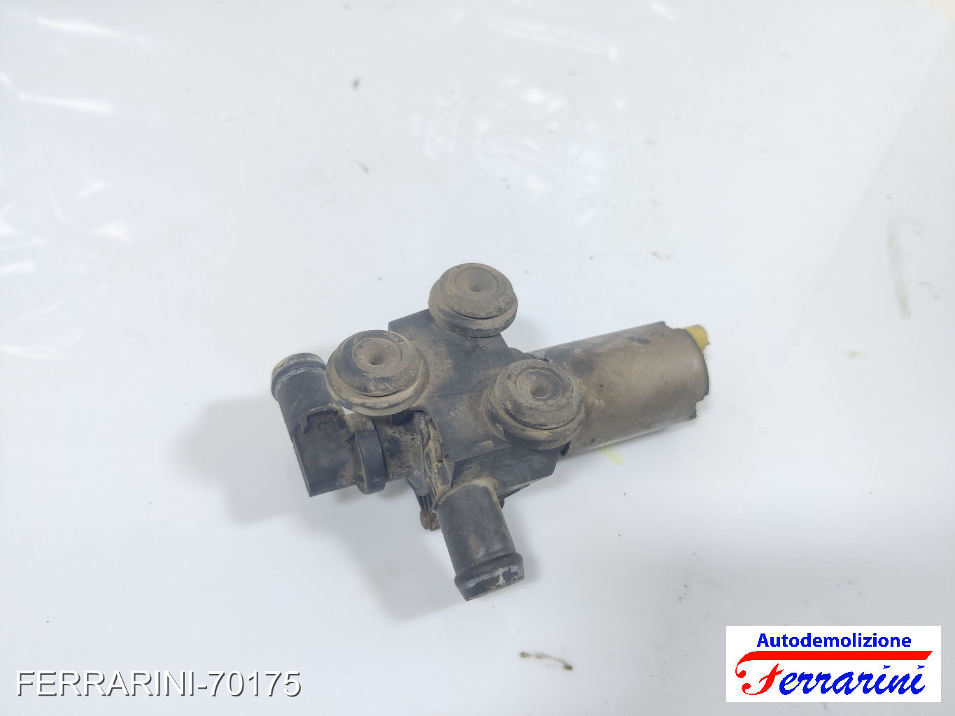 Pompa Acqua Motore