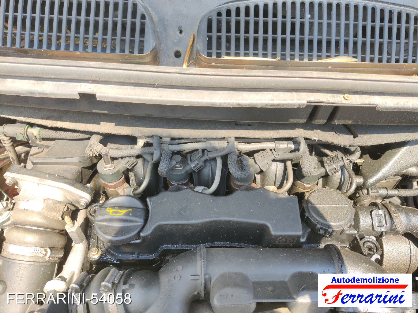 Ford C-Max 48