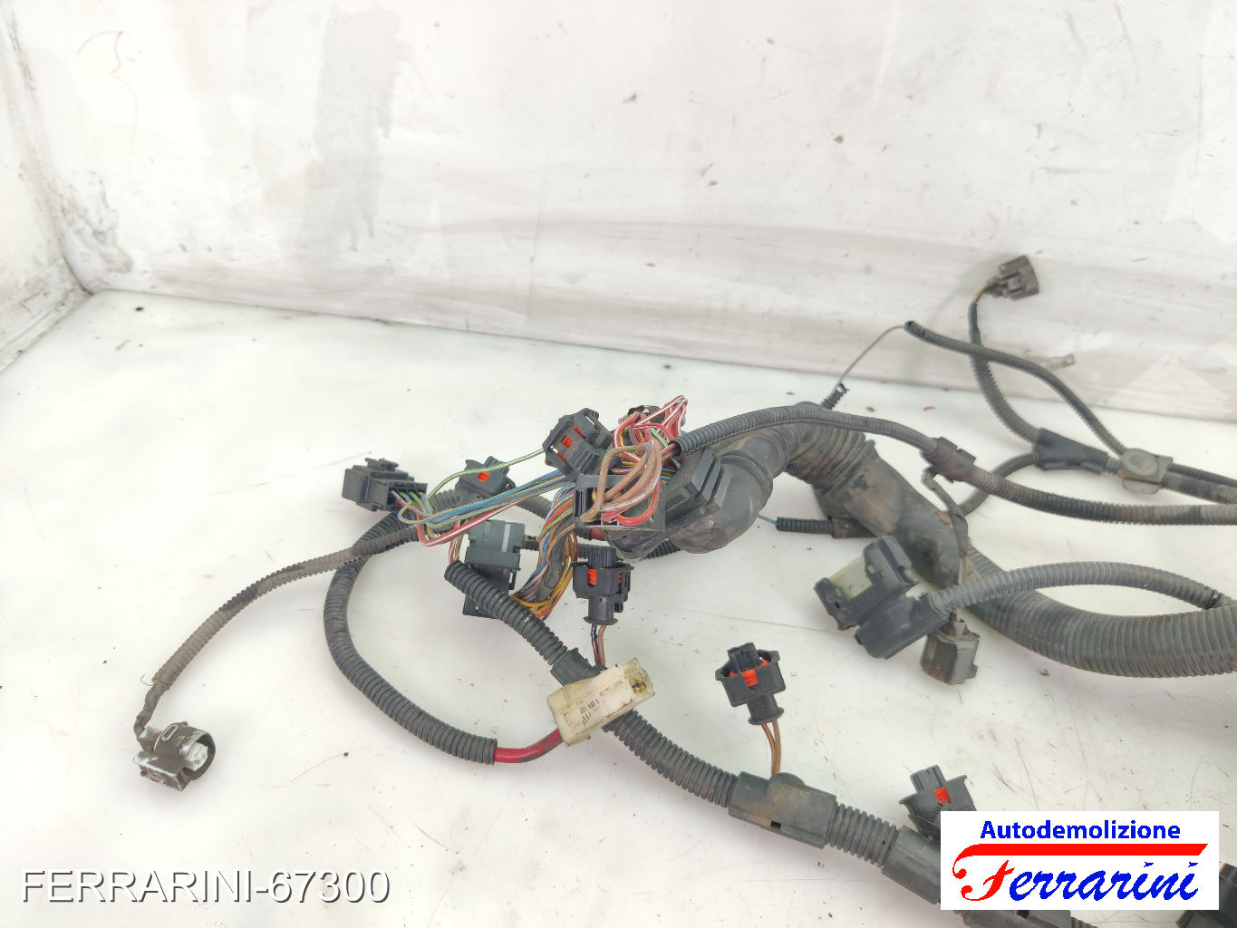 W10B16A Cablaggio Motore MINI - R50, R53 ONE 2001-2006 12517533100, 2861067810 11
