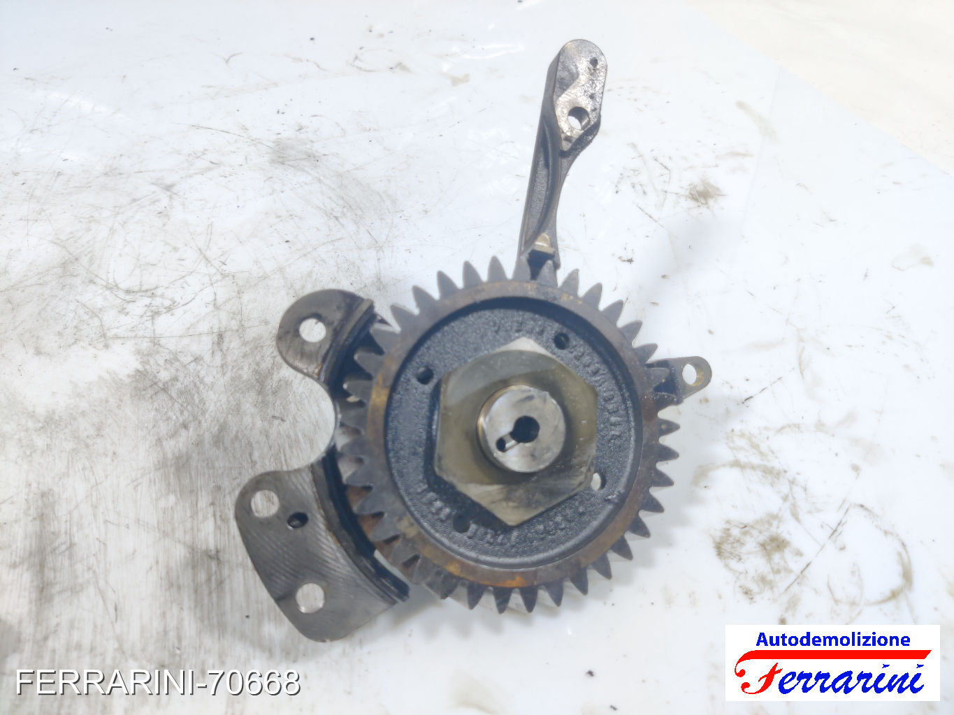 Ingranaggio albero a camme VW MULTI 5 7EF, 7EM, 7EN, 7HF, 7HM, 7HN