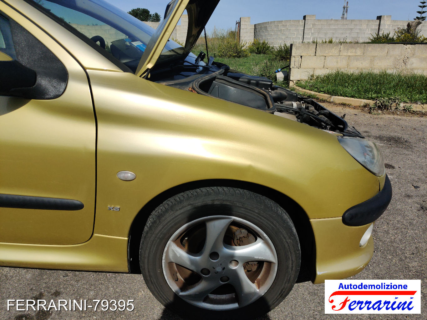 Peugeot 206 Sw 80