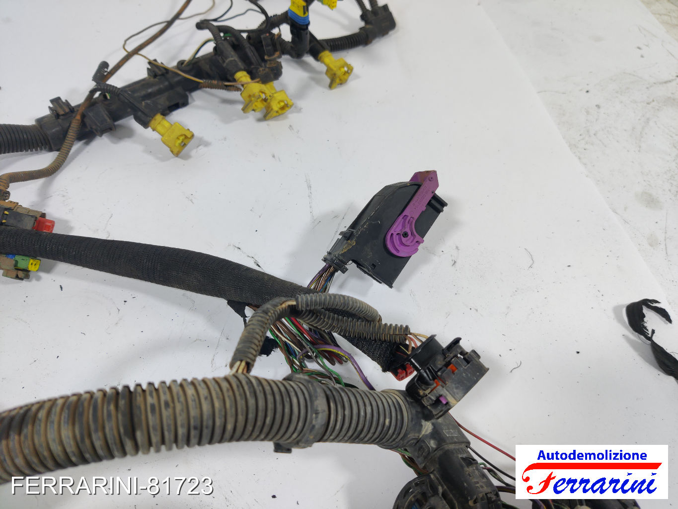 Cablaggio Motore LANCIA YPSILON 843 1.2 2003-2011 12