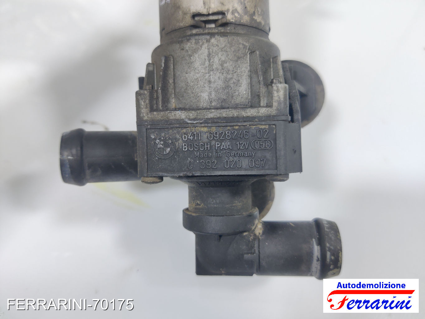 Pompa Acqua Motore 6