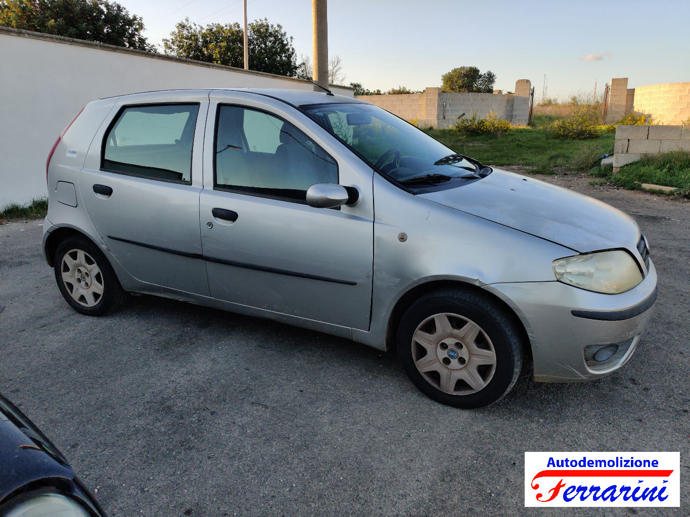 Fiat Punto 80