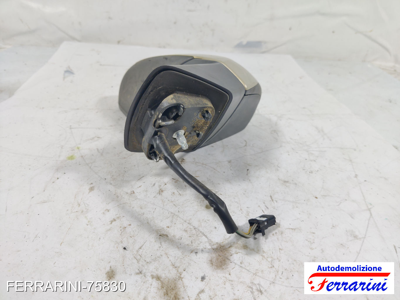 Specchietto Laterale RENAULT SCENIC 3 JZ0/1 2009-2023 destro, dx 7