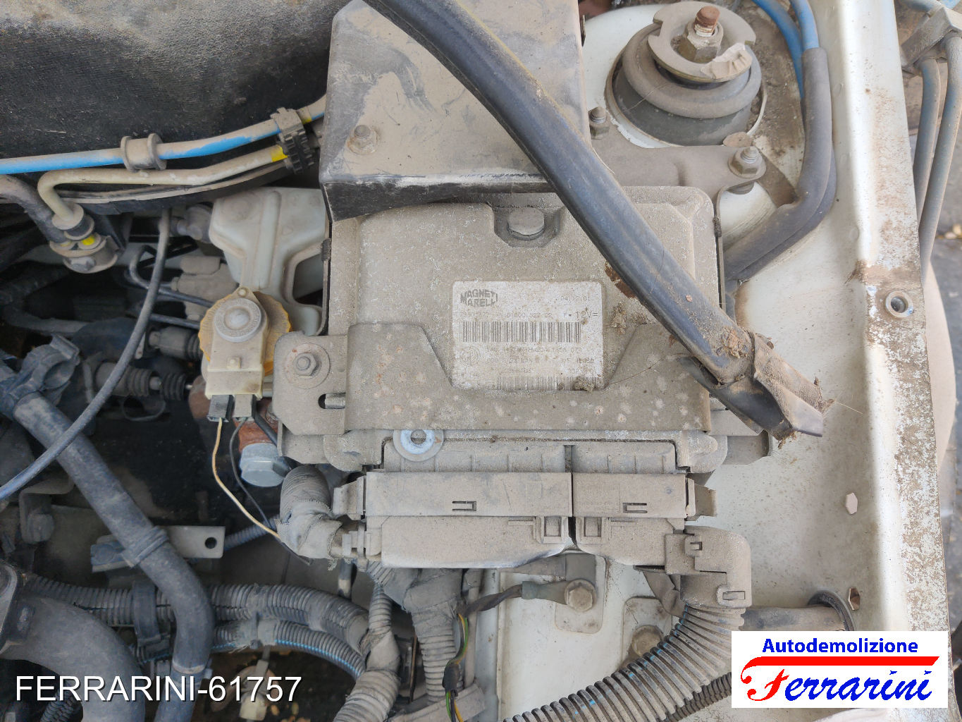 Fiat Seicento 600 187 1.1 54CV 1998-2010