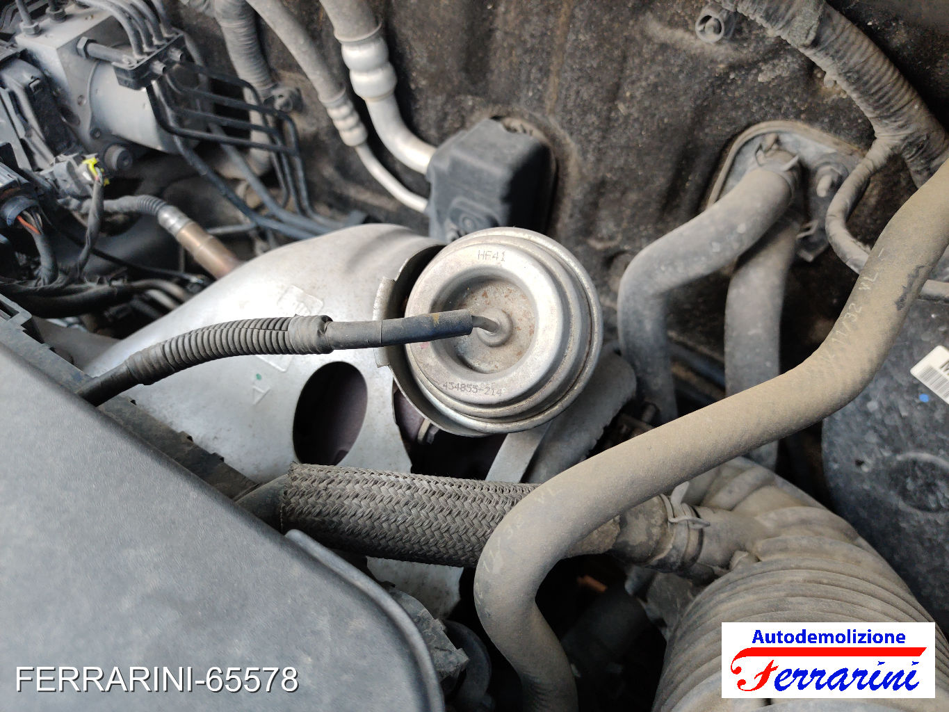 Turbina