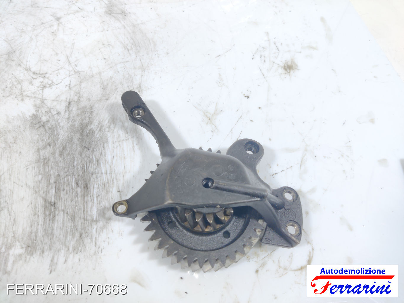 Ingranaggio albero a camme VW MULTI 5 7EF, 7EM, 7EN, 7HF, 7HM, 7HN 7