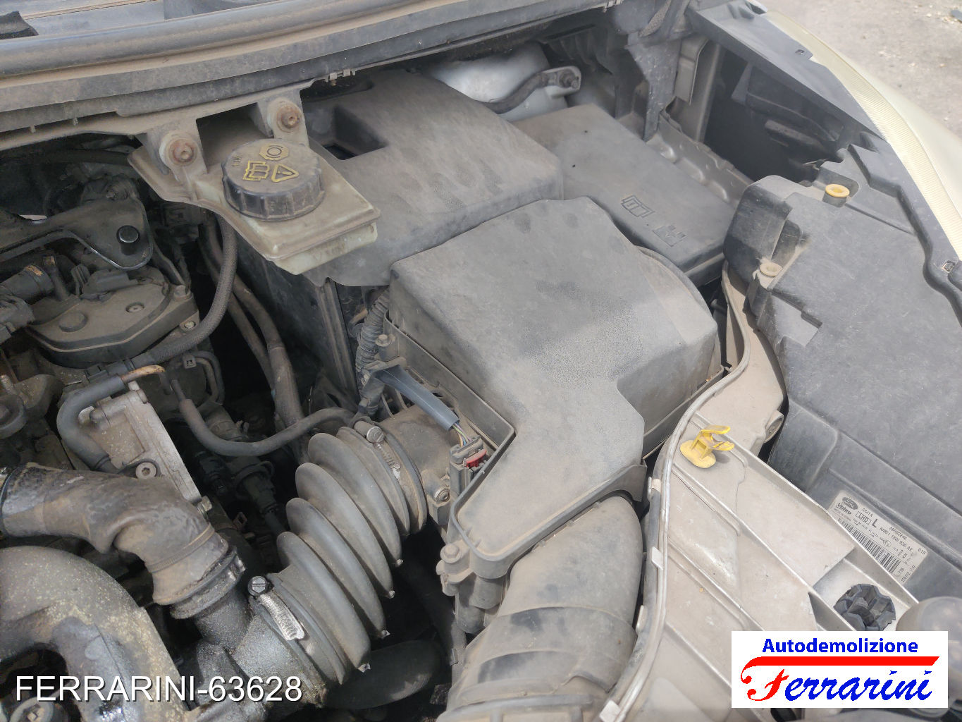 Ford C-Max 2 DXA/CB7, DXA/CEU 1.6 TDCI 115CV 2010-2019