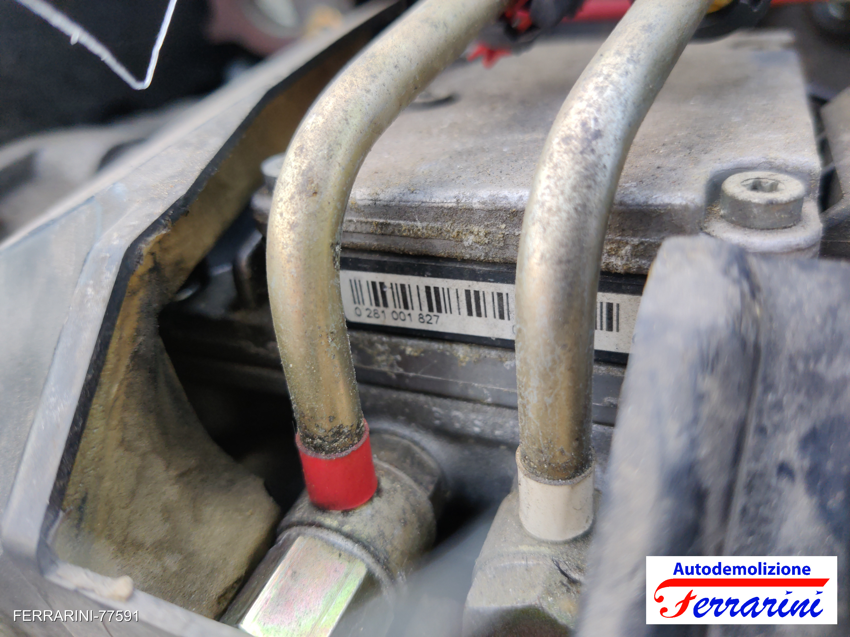 FORD FOCUS SW DNW 1.8 TURBO DI/TDDI 1999-2004 8