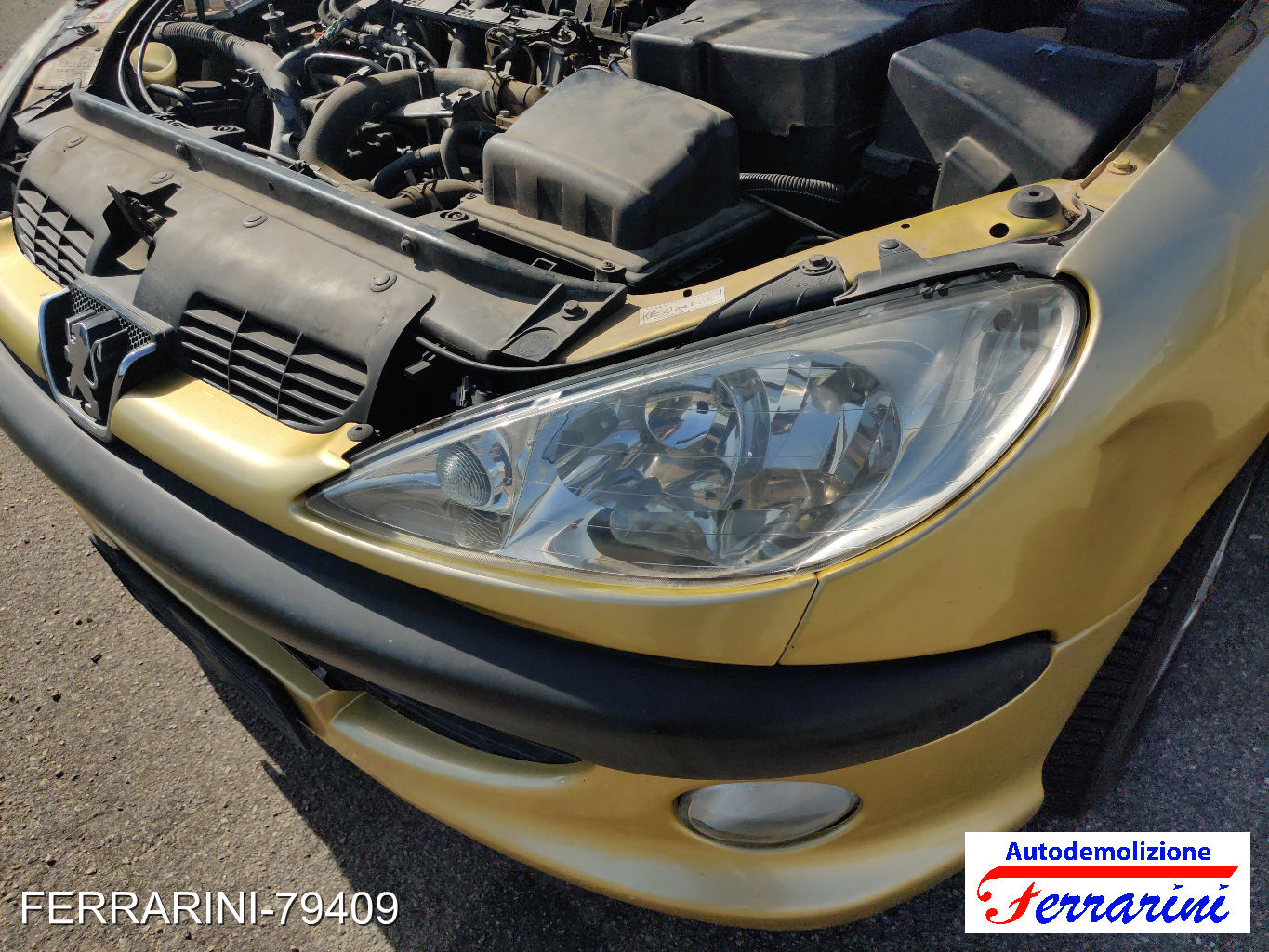 Peugeot 206 Sw 60