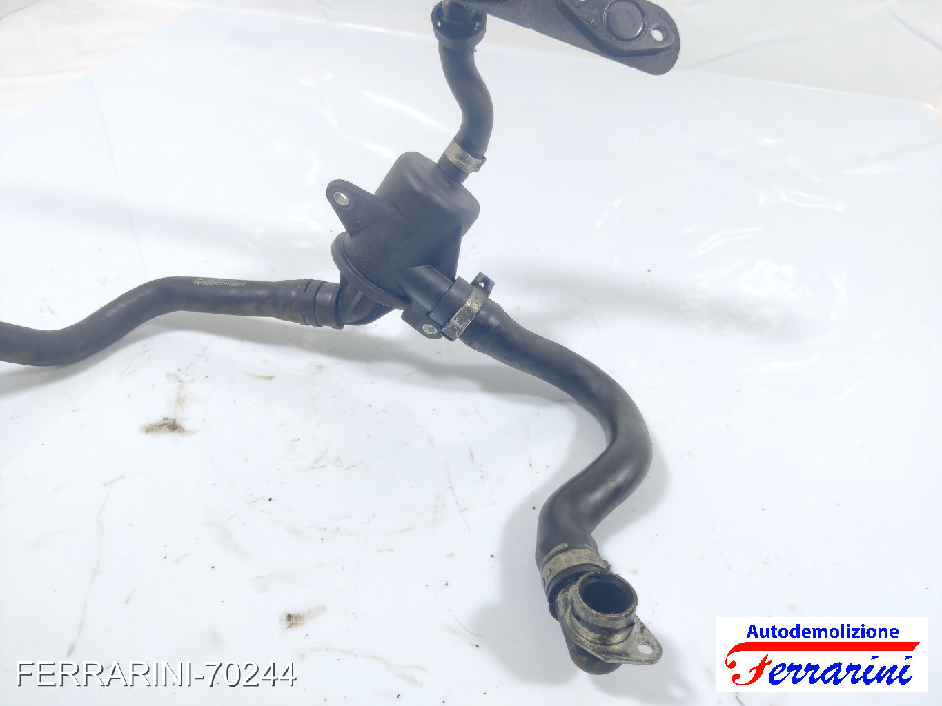 Pompa Acqua Motore Ausiliaria LANCIA YPSILON 843 1.3 JTD 2003-2011 55185372