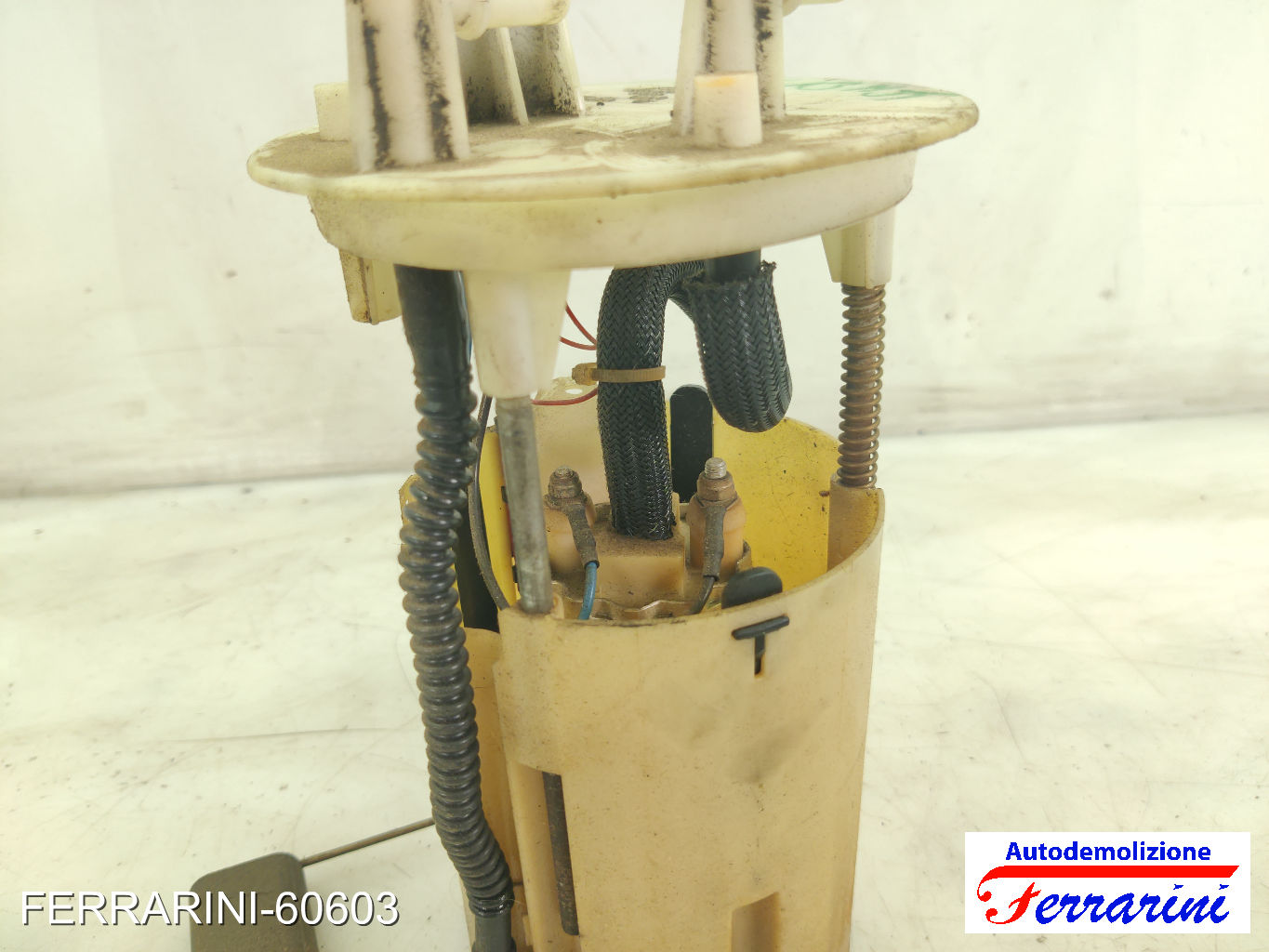 Cestello Pompa Galleggiante Serbatoio FIAT PUNTO 188 1.2 60 1999-2010 46523408