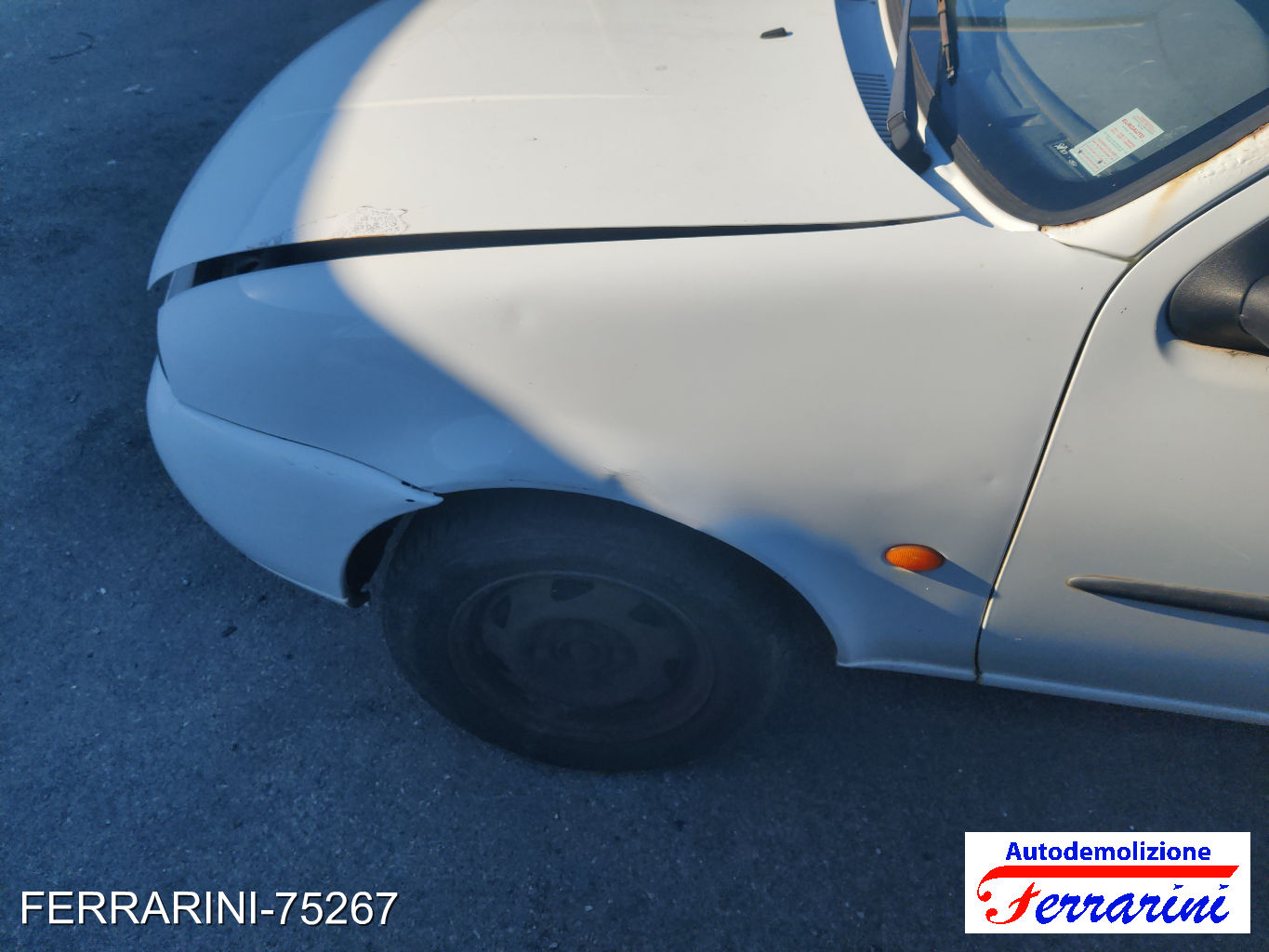 Ford Fiesta 4 37