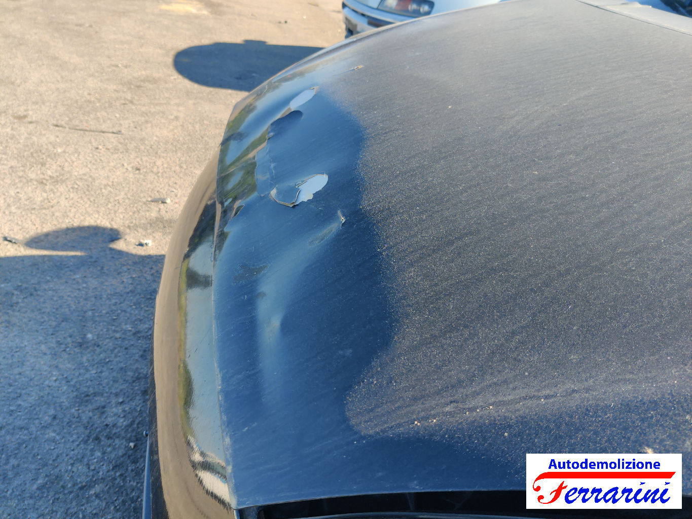 Fiat Grande Punto 199 1.3 D MULTIJET 75CV 2005-2013