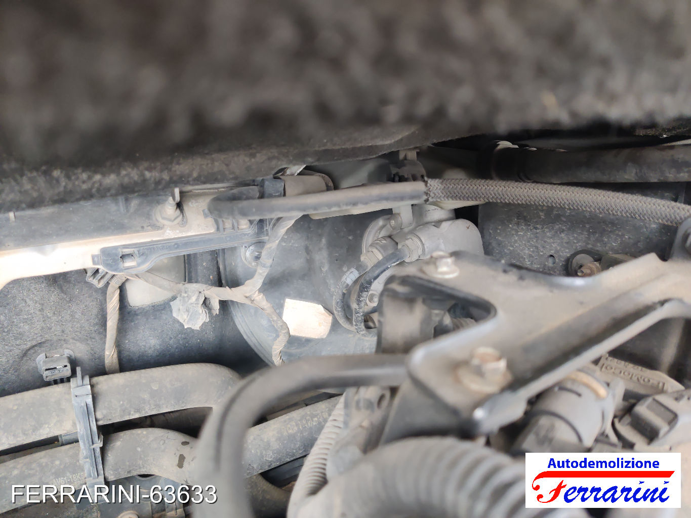 Ford C-Max 2 DXA/CB7, DXA/CEU 1.6 TDCI 115CV 2010-2019