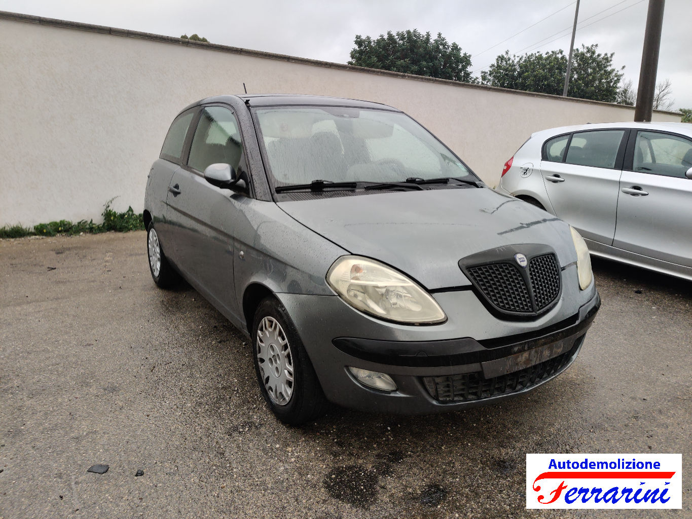 Lancia Ypsilon 8