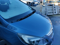 Opel Zafira Tourer C P12 1.6 CNG 150CV 2011-2023