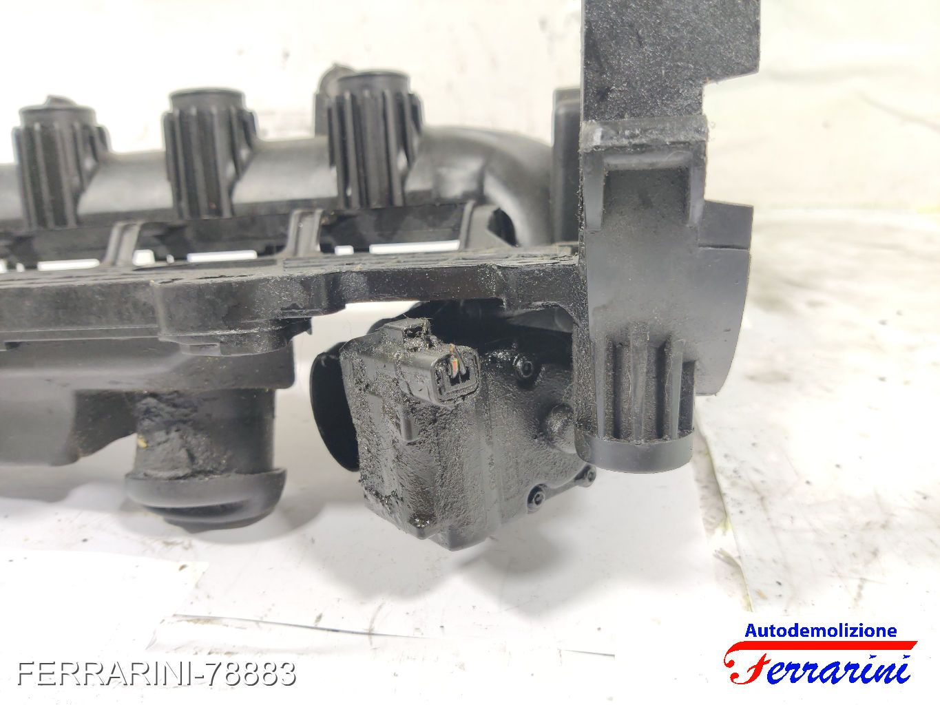 Coperchio Punterie Valvole FORD FIESTA 5 JD, JH 1.4 TDCI 2001-2008 0361N4 6